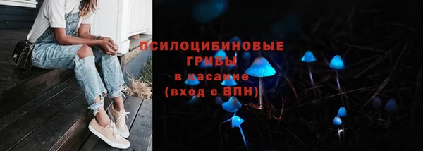 Альфа ПВП Алзамай