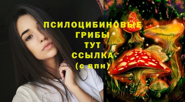 спайс Протвино