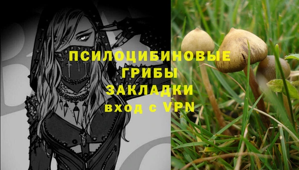 Альфа ПВП Алзамай