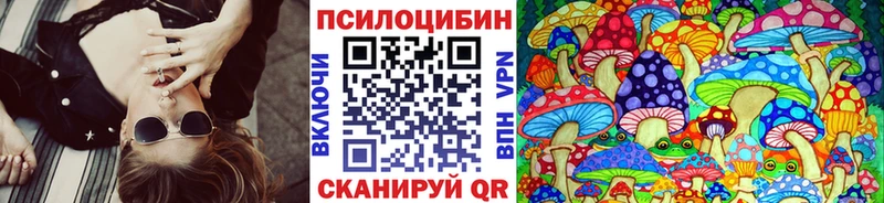 omg tor  Боготол  Галлюциногенные грибы Cubensis 